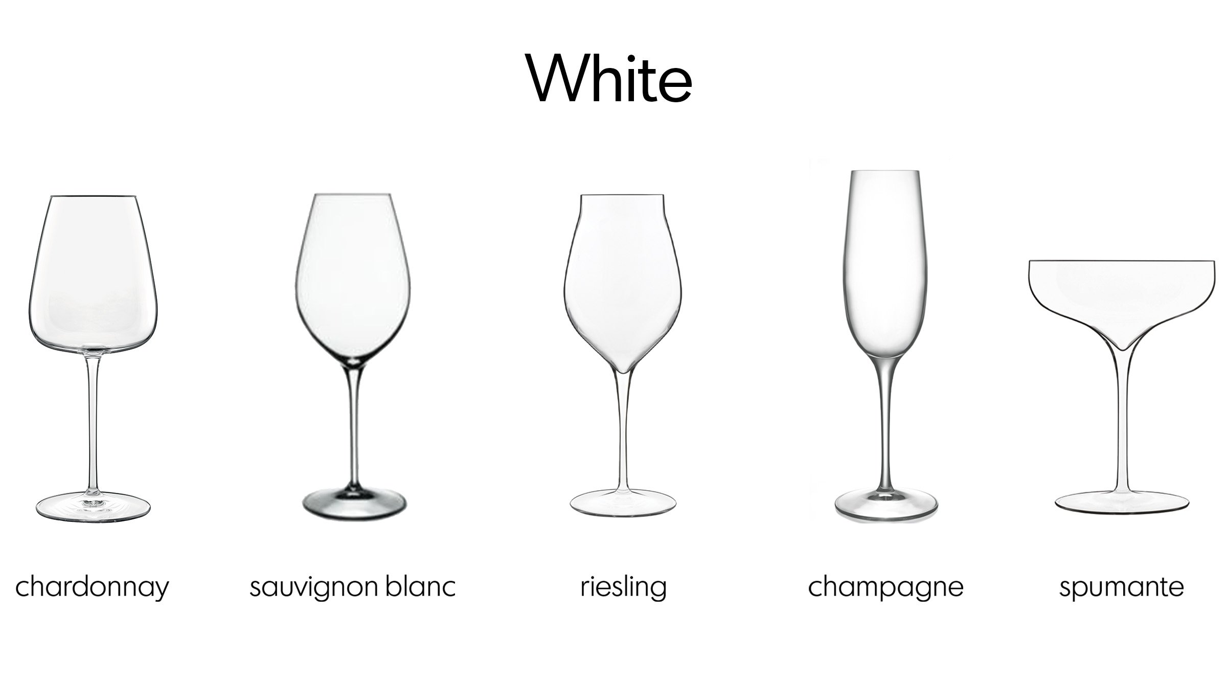 Bauscherhepps Guide To Wine Glasses